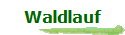 Waldlauf