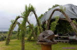 Naturparkfest 492
